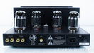Rogue M-120 Tube Monoblock Amplifiers