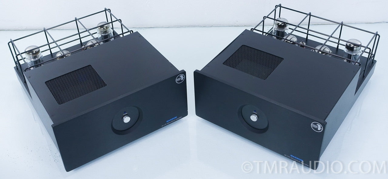 Rogue M-120 Tube Monoblock Amplifiers