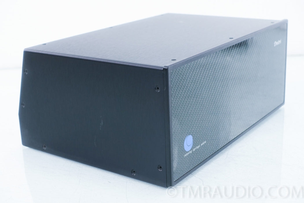 Running Springs Audio Dmitri Power Conditioner w/ Mongoose Power Cable