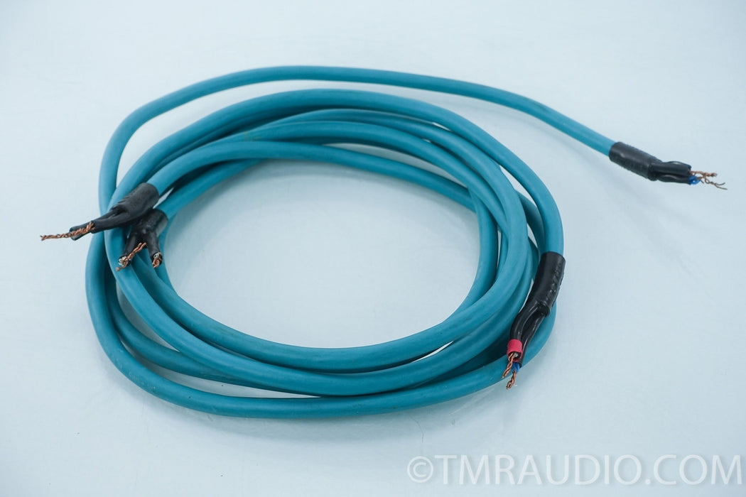 Tara Labs Quantum III Space & Time Speaker Cables