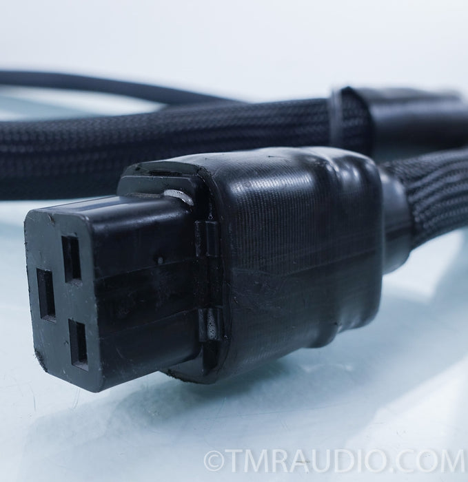 PS Audio Ultimate Lab Power Cable / Cord