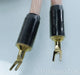 Tara Labs Omega Onyx Speaker Cables