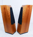 Avalon Acoustics Arcus Floorstanding Speakers