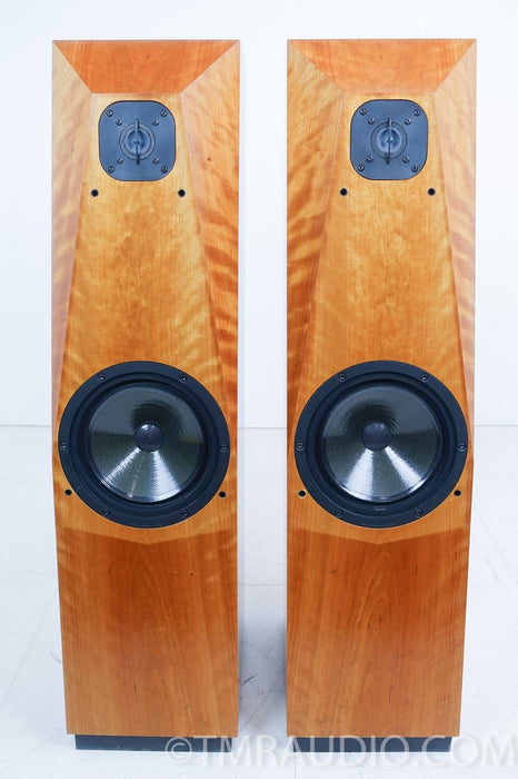 Avalon Acoustics Arcus Floorstanding Speakers