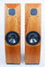 Avalon Acoustics Arcus Floorstanding Speakers