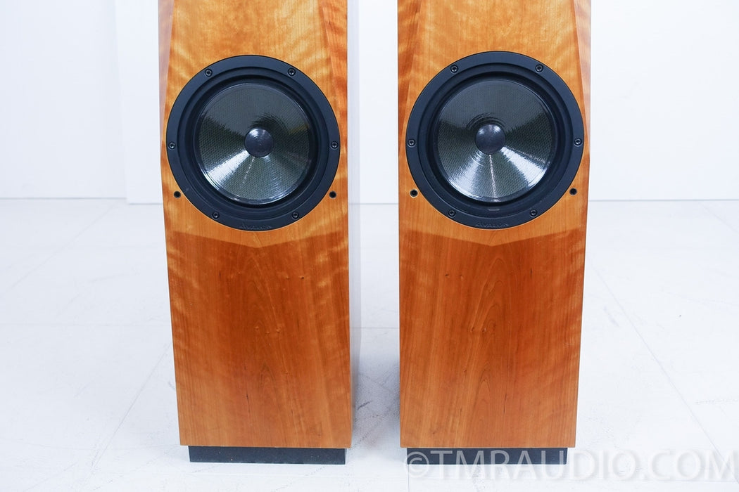 Avalon Acoustics Arcus Floorstanding Speakers