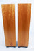 Avalon Acoustics Arcus Floorstanding Speakers