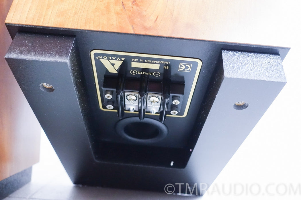 Avalon Acoustics Arcus Floorstanding Speakers
