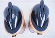 B&W 802D Floorstanding Speakers