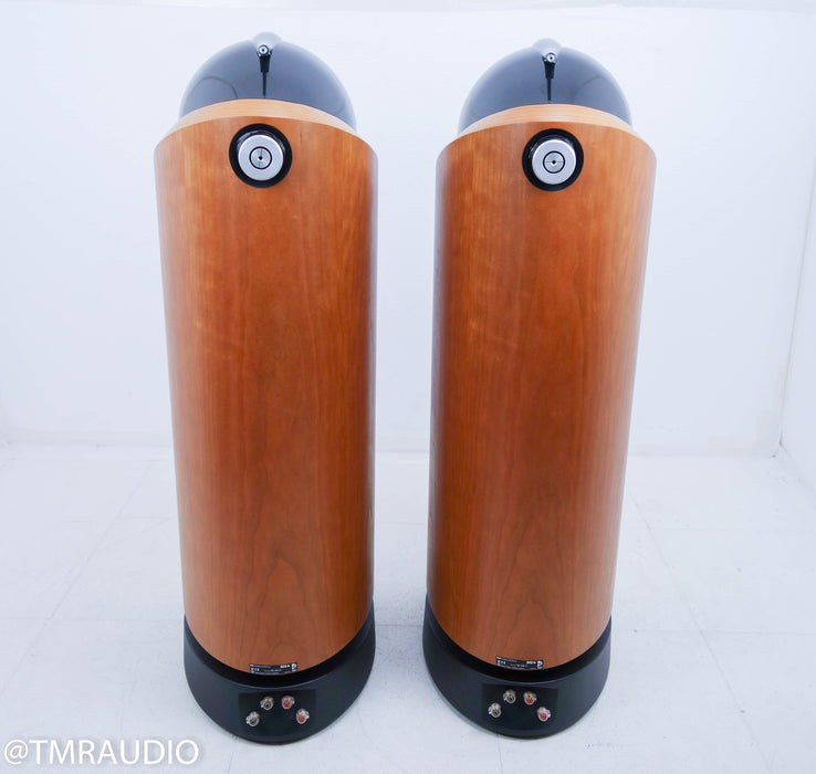 B&W 802D Floorstanding Speakers