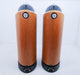 B&W 802D Floorstanding Speakers