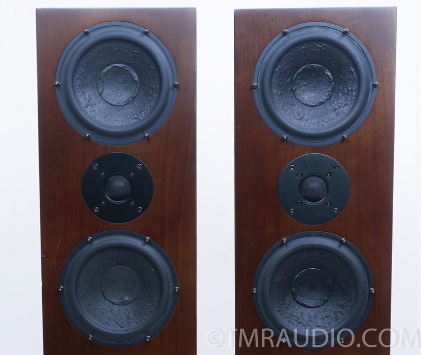 Usher N-6361 Floorstanding Speakers
