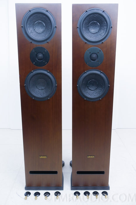 Usher N-6361 Floorstanding Speakers