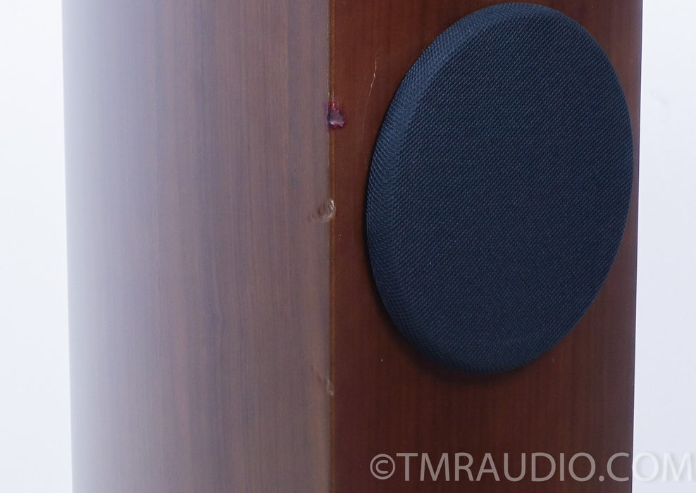 Usher N-6361 Floorstanding Speakers