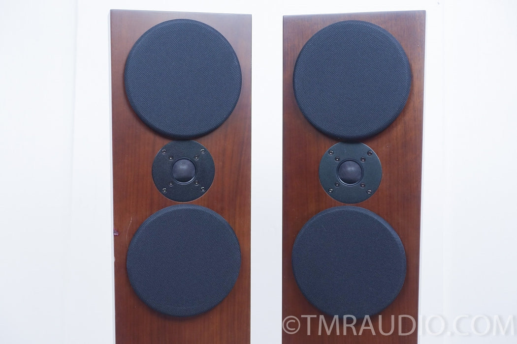 Usher N-6361 Floorstanding Speakers