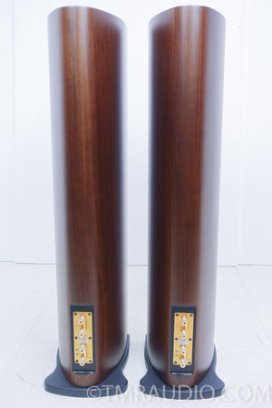 Usher N-6361 Floorstanding Speakers