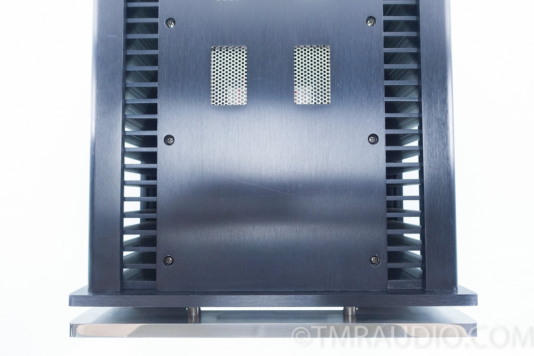 Oasis Audio Statement Model S-200M Mono Amplifiers