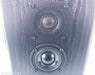 Bryston Mini A Bookshelf Speakers