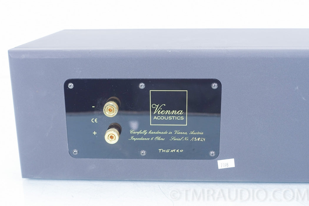 Vienna Acoustics Theatro Center Channel Speaker