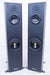 Sonus Faber Liuto "Smoked Oak" Floorstanding Speakers