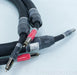 Purist Audio Design