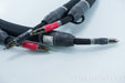 Purist Audio Design