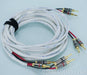 Blue Jeans Cable Speaker Cables