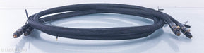 Tara Labs The Zero Gold RCA Cables