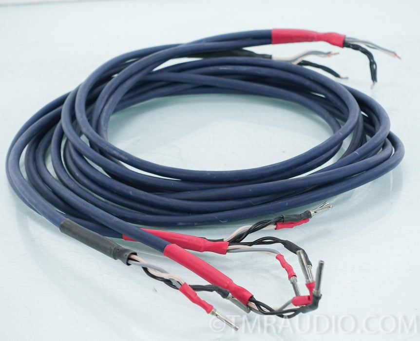 Audioquest Type 4 Speaker Cables