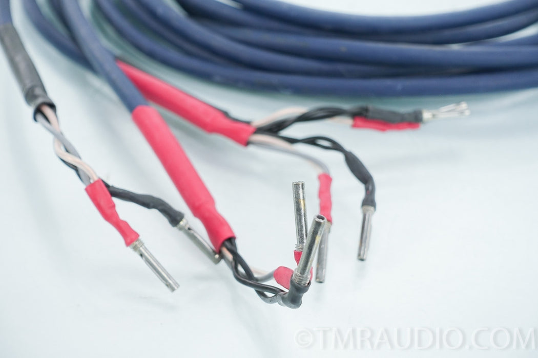 Audioquest Type 4 Speaker Cables