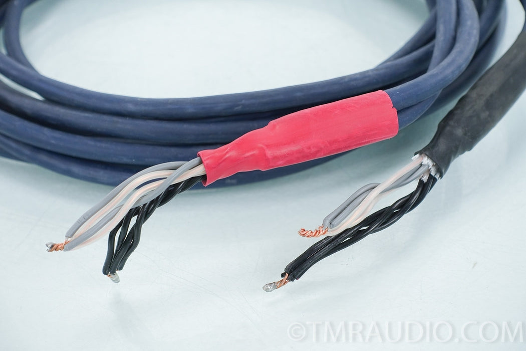 Audioquest Type 4 Speaker Cables