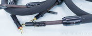 Tara Labs Omega Evolution Speaker Cables