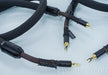 Tara Labs Omega Evolution Speaker Cables