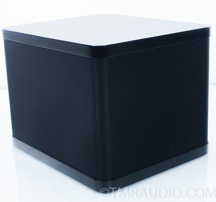 Vandersteen VCC-1 Center Channel Speaker