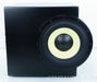 Bohlender Graebener Radia Series BG 210i Subwoofer