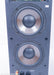 Genesis V Floorstanding Speakers
