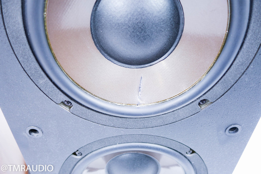 Genesis V Floorstanding Speakers