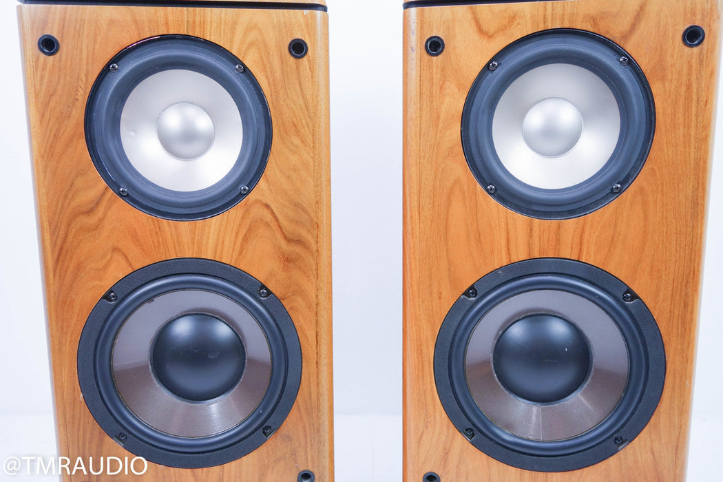 Genesis V Floorstanding Speakers