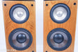Genesis V Floorstanding Speakers