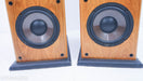 Genesis V Floorstanding Speakers