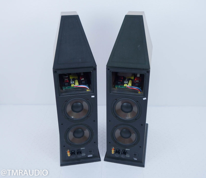 Genesis V Floorstanding Speakers