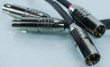 Audience Au24 XLR Cables