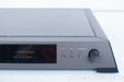 dCS Elgar Plus D/A Converter