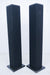 NEAR Soundmaster Floorstanding Speakers