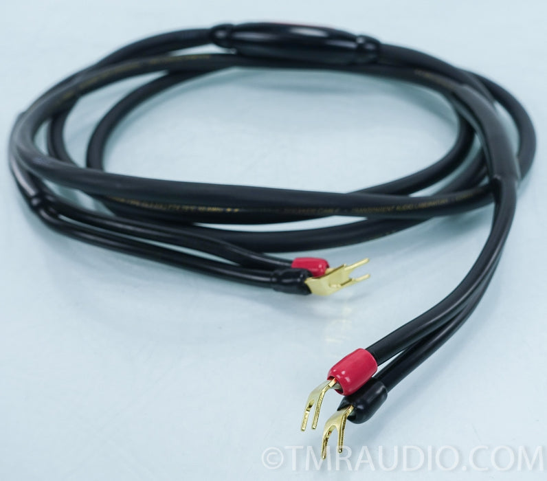 Transparent MusicWave Speaker Cables