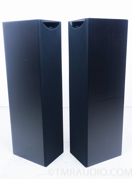 Meridian DSP5000 Digital Floorstanding Speakers