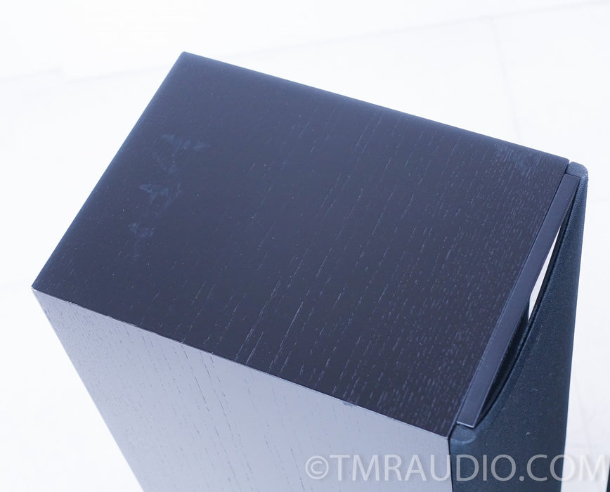 Meridian DSP5000 Digital Floorstanding Speakers