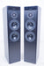 Meridian DSP5000 Digital Floorstanding Speakers
