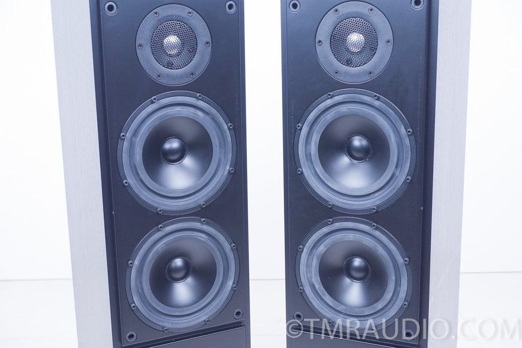 Meridian DSP5000 Digital Floorstanding Speakers