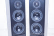 Meridian DSP5000 Digital Floorstanding Speakers